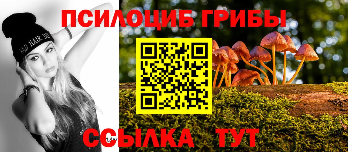Псилоцибиновые грибы прущие грибы Георгиевск
