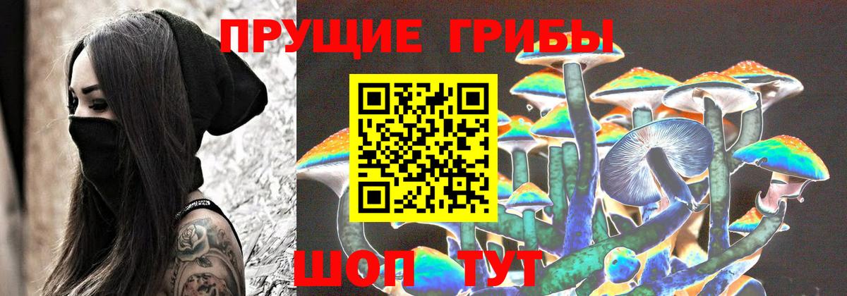 Псилоцибиновые грибы мухоморы  закладка  Георгиевск  Вход с VPN 