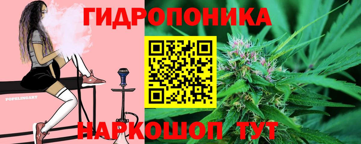 Марихуана OG Kush Георгиевск